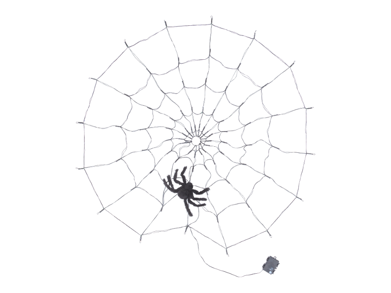Decorative light-up spider web with a black spider for Halloween.