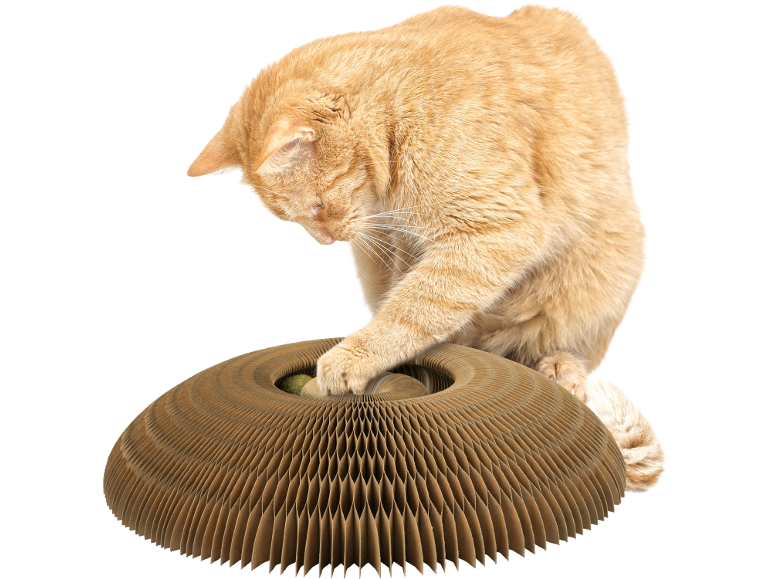 Ginger cat playing with a cardboard scratcher toy.