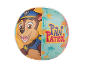 Beach ball with police dog character and 'PAW PATROL' text with palm trees.