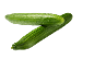 Two fresh, green cucumbers with water droplets, placed on a white background.