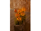 Glowing pumpkin lights in a planter with grass, decorated with cobwebs and spiders.