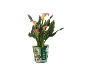 Calla plant with salmon-colored flowers and speckled green leaves, in a pot with the label 'Calla'.