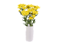Vibrant yellow chrysanthemums in a white vase, against a black background.