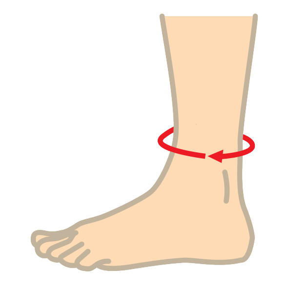 Illustration of an ankle with a red circular arrow indicating a measurement.