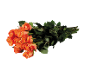 Bouquet of orange roses with green leaves on a black background.