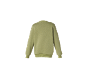 Back view of a plain light green long-sleeved sweatshirt.