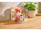 Clear storage box with food items, including organic couscous, rice, and spices, plus a basil plant.