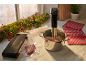 Sous vide cooker and vacuum sealer preparing steak in a Christmas kitchen.