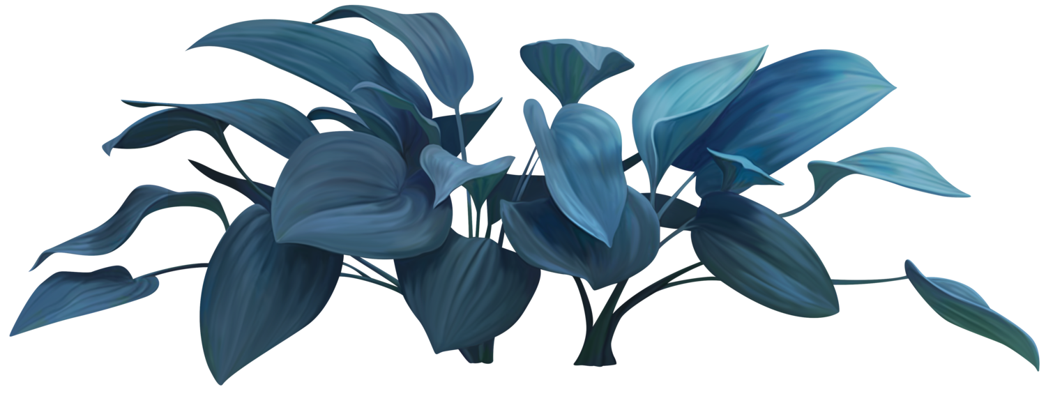 Illustration of blue-green foliage, possibly aquatic plants.