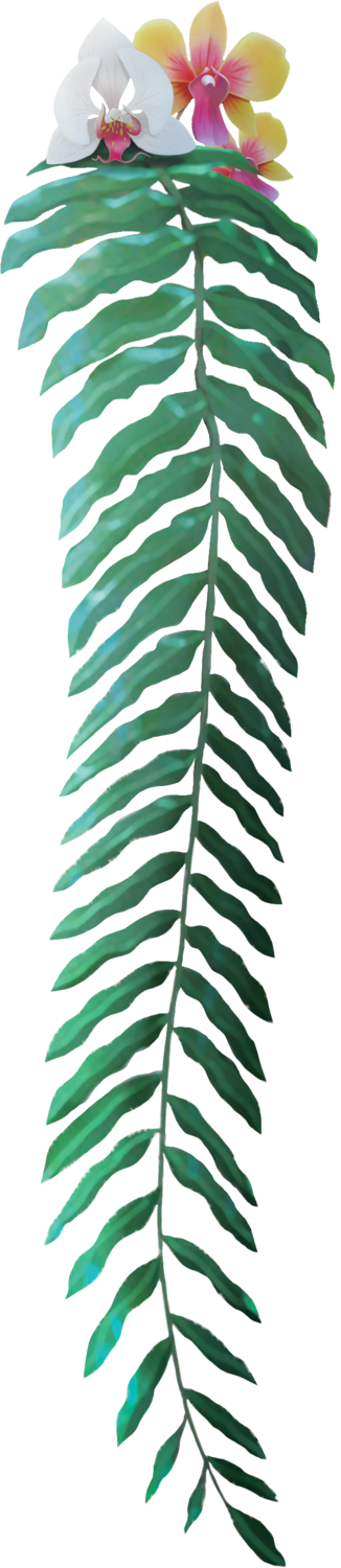 Green palm leaf decorated with white and yellow orchids.