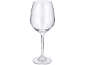 Empty clear glass wine glass