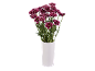 Purple and white chrysanthemums in a white vase.