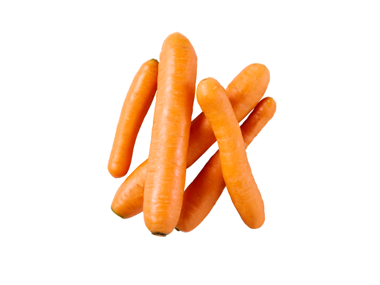 Fresh, orange carrots on a black background.
