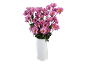 Bouquet of pink daisies in a white vase on a black background.