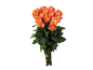 Bouquet of orange roses with green stems and leaves on a black background.