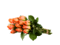 Bouquet of orange roses with green stems and leaves on a black background.