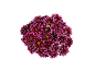 Bouquet of purple chrysanthemum flowers with yellow centers on a black background.