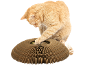 Ginger cat playing with a cardboard scratcher toy.