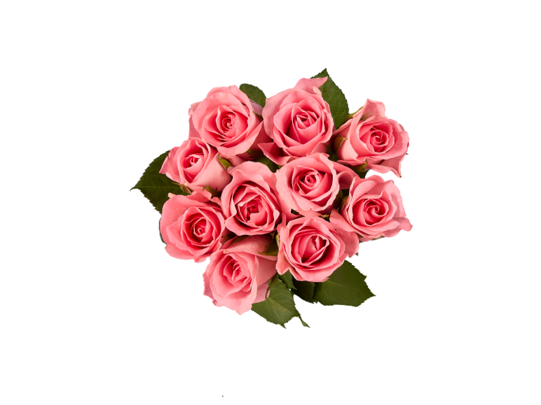 Bouquet of pink roses with green leaves on a black background.