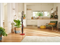 Steam mop in a modern living room with an open kitchen and plants.