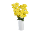 Bright yellow chrysanthemums in a white vase against a black background.