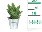Cactus in a metal pot with a measuring ruler next to it.