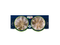 Pistachio ice cream in Italian style, with Rainforest Alliance certified cocoa.