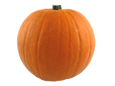 Large Irish Pumpkin