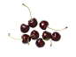Fresh dark red cherries with green stems on a black background.