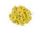 Bouquet of yellow chrysanthemums on a black background.