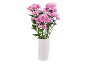 Bouquet of pink chrysanthemums in a white vase.