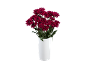 Bouquet of dark red chrysanthemum flowers in a white vase.