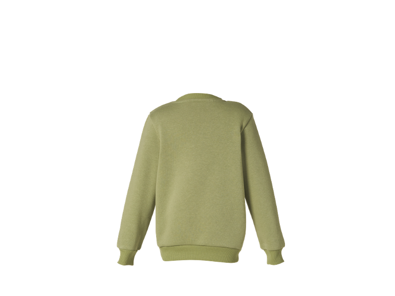 Back view of a plain light green long-sleeved sweatshirt.