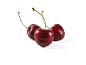 Three fresh red cherries with stems, covered in water droplets.