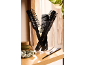 Set of black hair combs and brushes in a glass, with a hair scrunchie and a cream jar.
