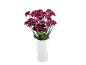 Purple and white chrysanthemums in a white vase