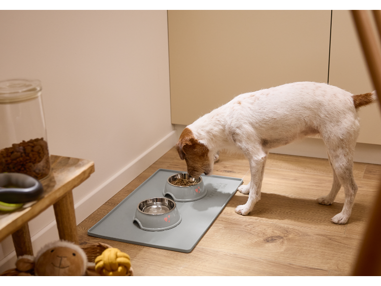 Dog eating from a bowl on a mat, next to a jar of dry food.