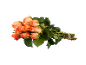 Bouquet of orange roses with thorny stems and green leaves on a black background.