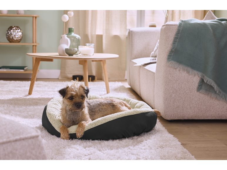 Small dog in a pet bed, with a coffee table and sofa in the background.
