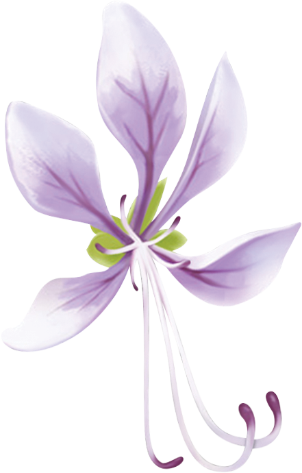 Purple flower with green details.