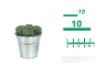 Cactus in a metal bucket with a measuring scale next to it.