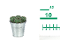 Cactus in a metal bucket with a measuring scale next to it.