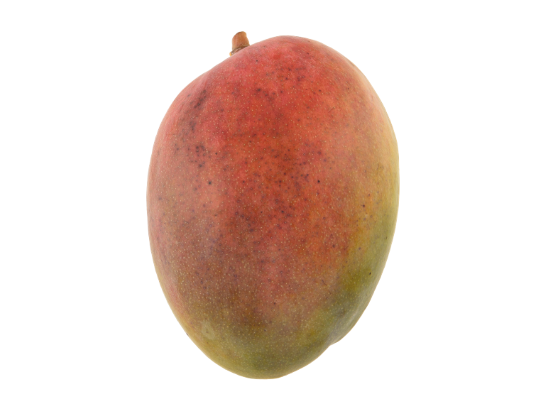 A single ripe mango with red and green skin.