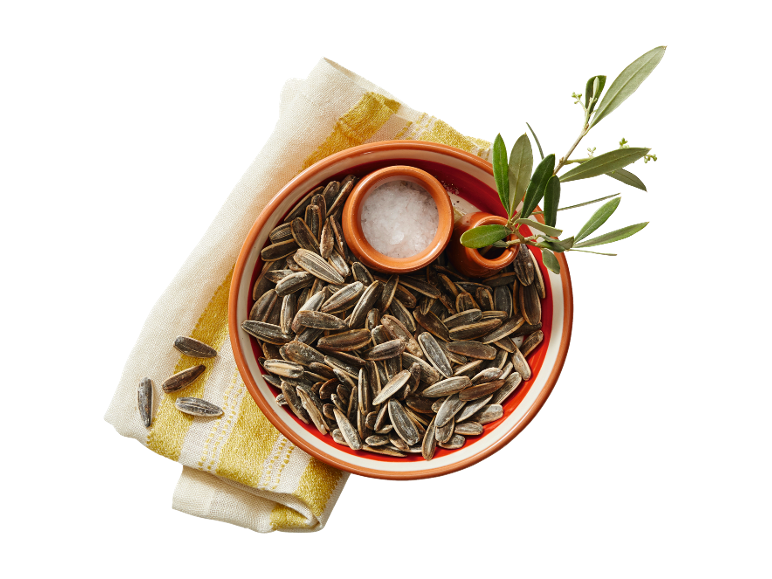 Roasted sunflower seeds with salt and an olive branch on a kitchen towel.