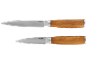 Two kitchen knives with stainless steel blades and wooden handles.