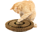 Ginger cat playing with an interactive cardboard cat toy.