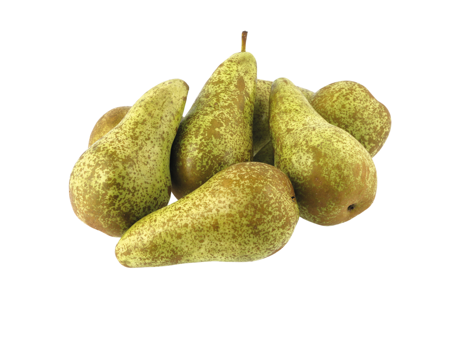Conference Pears | Lidl