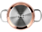 Copper pot bottom with induction base and hob compatibility symbols.