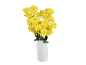 Bright yellow chrysanthemums in a white vase on a black background.