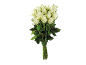 Bouquet of white roses with green stems on a black background.